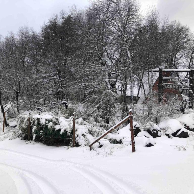 Termas de Chillan Cabaña 13 Personas 5 Dormitorios - Casa con 1 dormitorio - 30