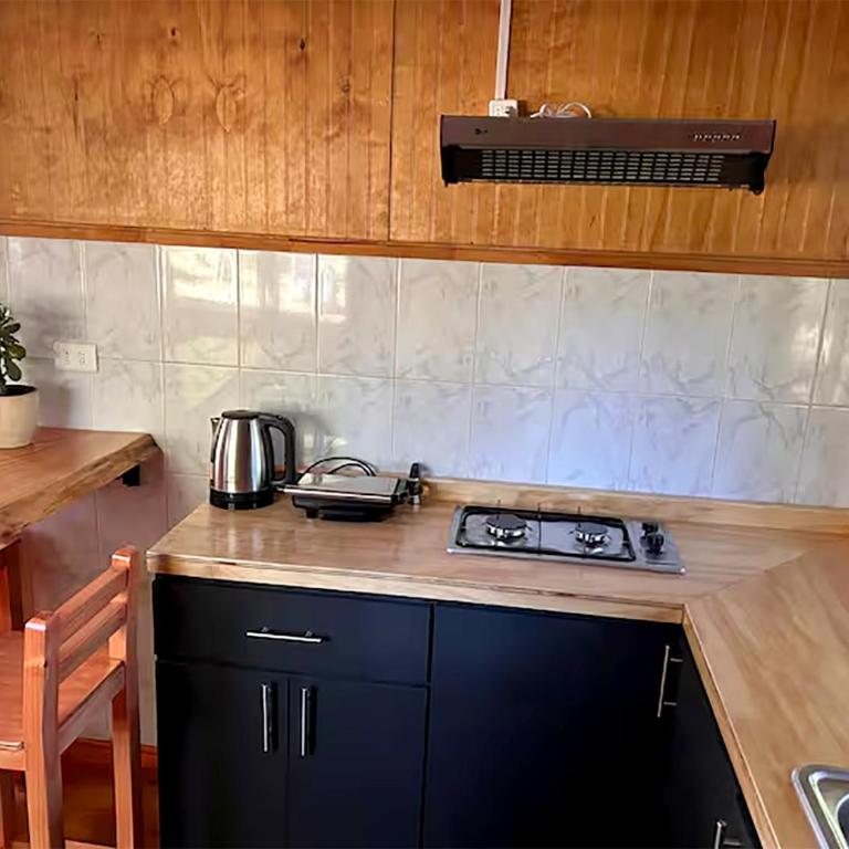 Pichihuape Lodge - Casa con 1 dormitorio - 20