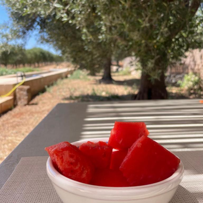 New Heated Pool Villa in Ostuni - Villa con 2 Camere da Letto - 8