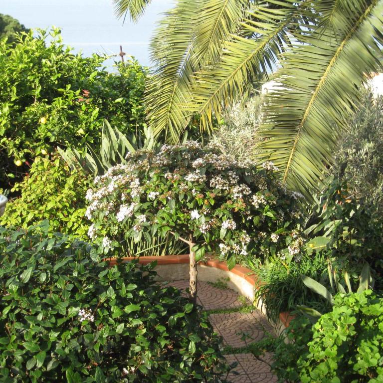 Villa Sea Garden Apartment Beach - Apartment mit 2 Schlafzimmern - 22