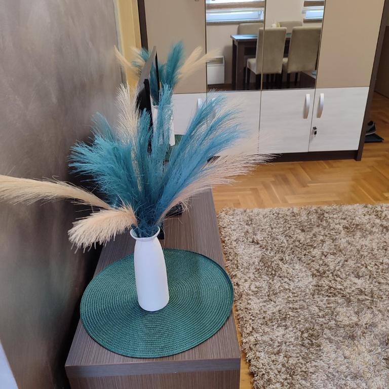 Apartman Stefan Vrnjacka Banja-centar,besplatan parking,wi-fi - Apartman sa 1 Spavaćom Sobom - 21