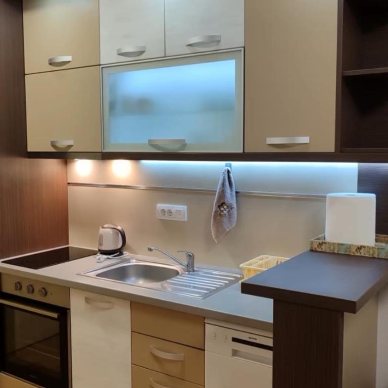 Apartman Stefan Vrnjacka Banja-centar,besplatan parking,wi-fi - Apartman sa 1 Spavaćom Sobom - 19