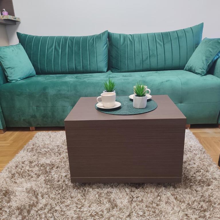 Apartman Stefan Vrnjacka Banja-centar,besplatan parking,wi-fi - Apartman sa 1 Spavaćom Sobom - 12