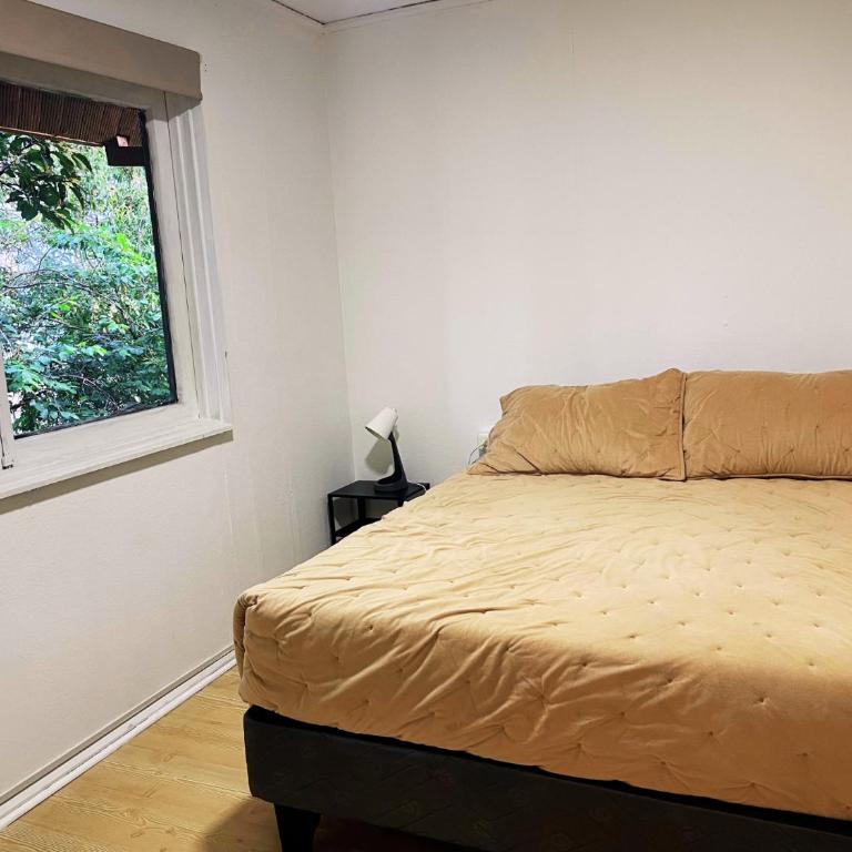 Precioso Departamento en Isla Teja Para 4 Personas con Estacionamiento Privado - Apartamento de 2 dormitorios - 8