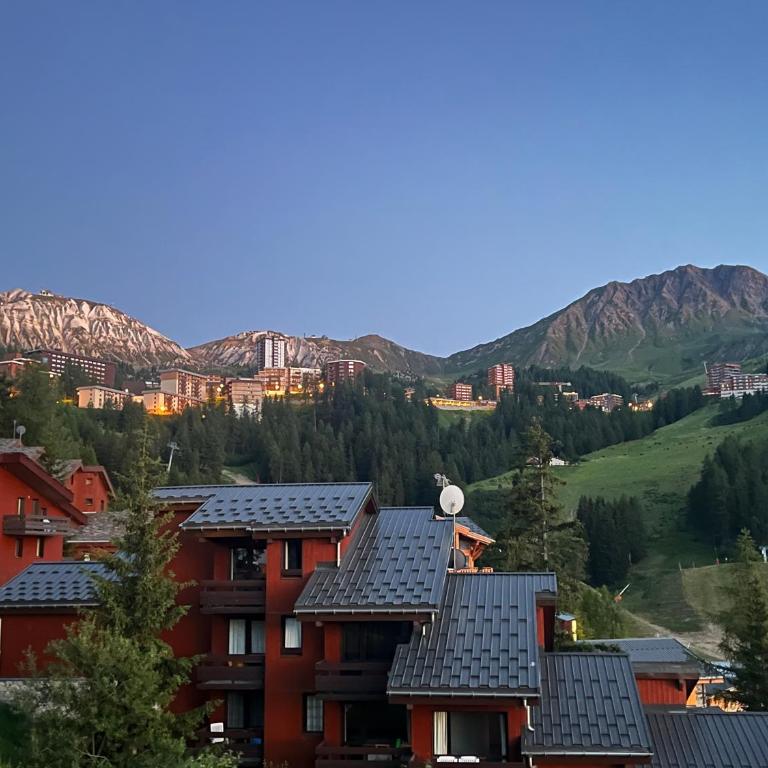 Appartement LA PLAGNE plein sud au pied des pistes, piscine et parking gratuits - Apartment mit 2 Schlafzimmern - 16