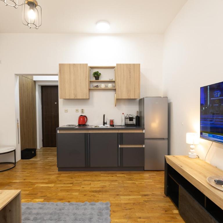 Sarajevo Seven Suites - Apartman sa 1 Spavaćom Sobom - 5
