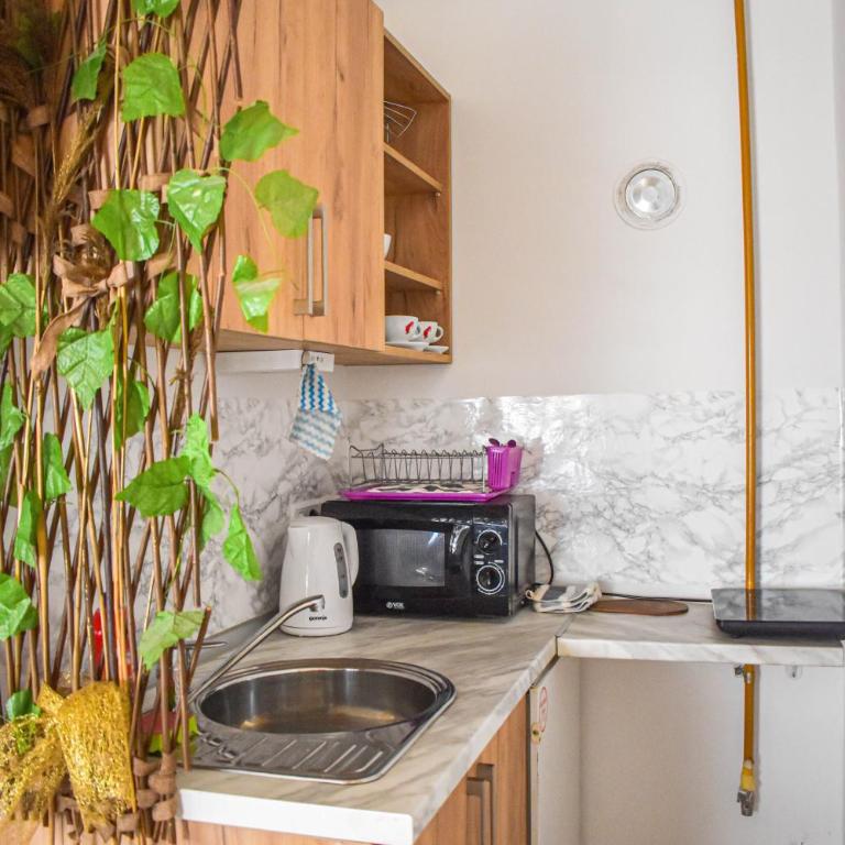 Sarajevo Seven Suites - Apartman sa 1 Spavaćom Sobom - 3