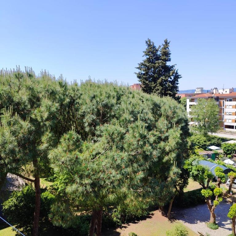 Panoramico - Appartamento Deluxe con 3 Camere da Letto - 10