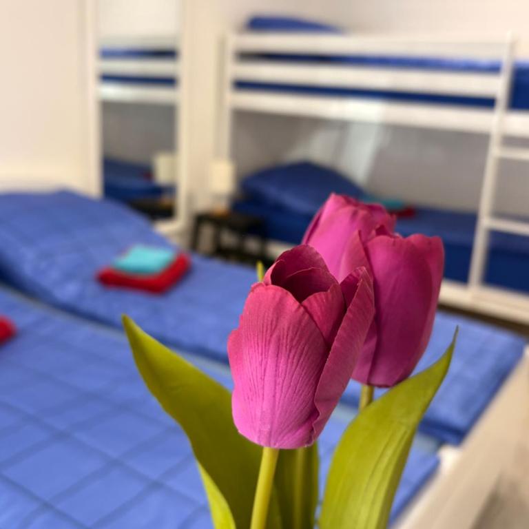 Best of Bascarsija apartments - Studio - 10