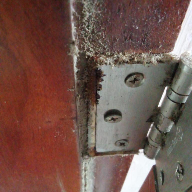 Apartasuit Cartagena beach, barrio Crespo cerca del aeropuerto - Suite - 2