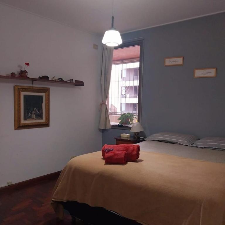 Departamento Nueva Cordoba- Calido y Confortable - Apartamento de 2 dormitorios - 7