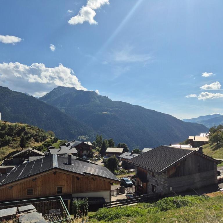 Charmant Appartement 4 personnes - Montvalezan - Appartamento con 1 Camera da Letto - 3