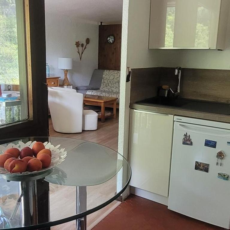 Grand studio près Lac Gaillands - Apartment mit 1 Schlafzimmer - 7