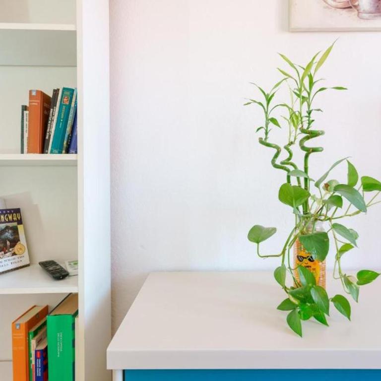 Cagliari Rooms -Wifi Air Conditioning Fridge TV Netflix - Camera Singola - 1