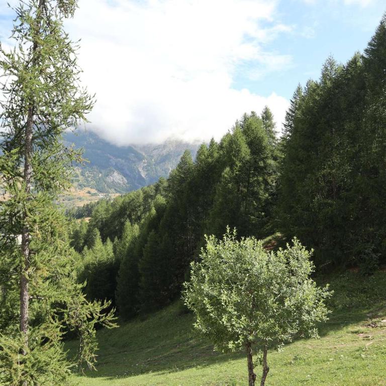 Studio cosy bord de piste aux Orres avec balcon, animaux acceptés - FR-1-322-667 - Estudio - 11