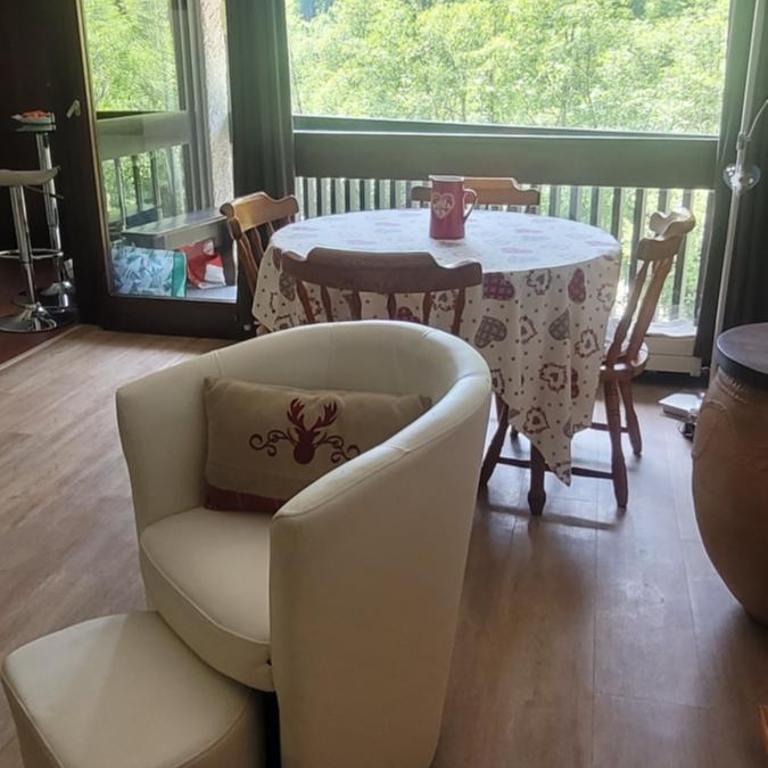Grand studio près Lac Gaillands - Apartment mit 1 Schlafzimmer - 10