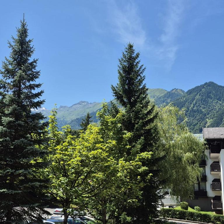 TUDOR Studio - Studio-Apartment mit Balkon - 10