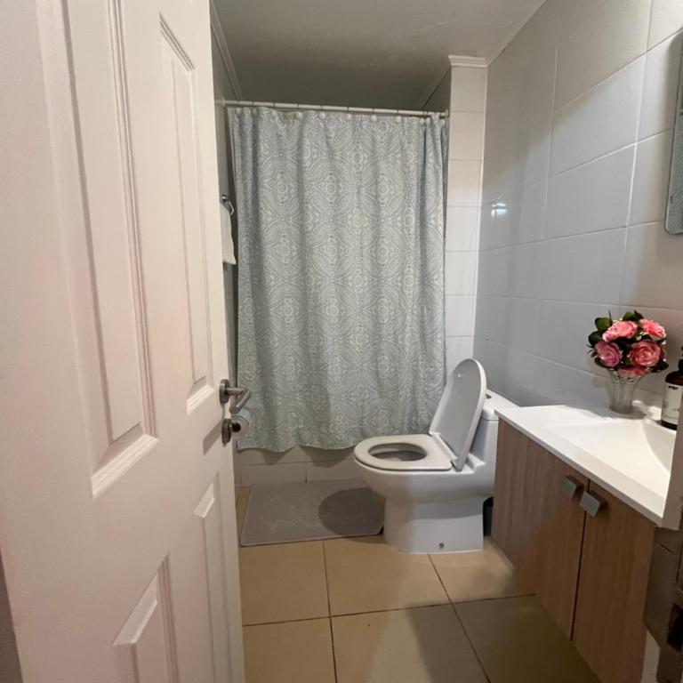 Departamento en osorno - One-Bedroom Apartment - 6