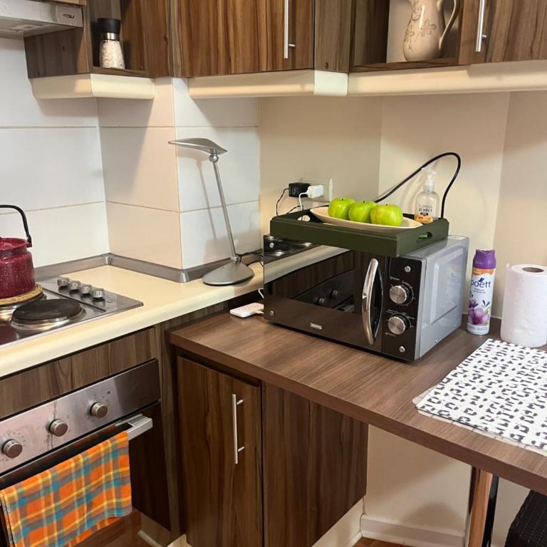 Departamento en osorno - One-Bedroom Apartment - 9