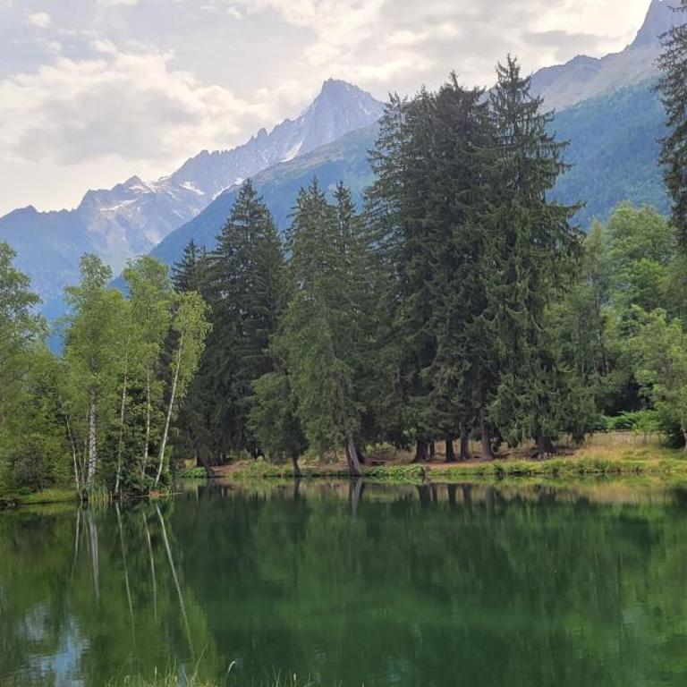 Grand studio près Lac Gaillands - Apartment mit 1 Schlafzimmer - 13