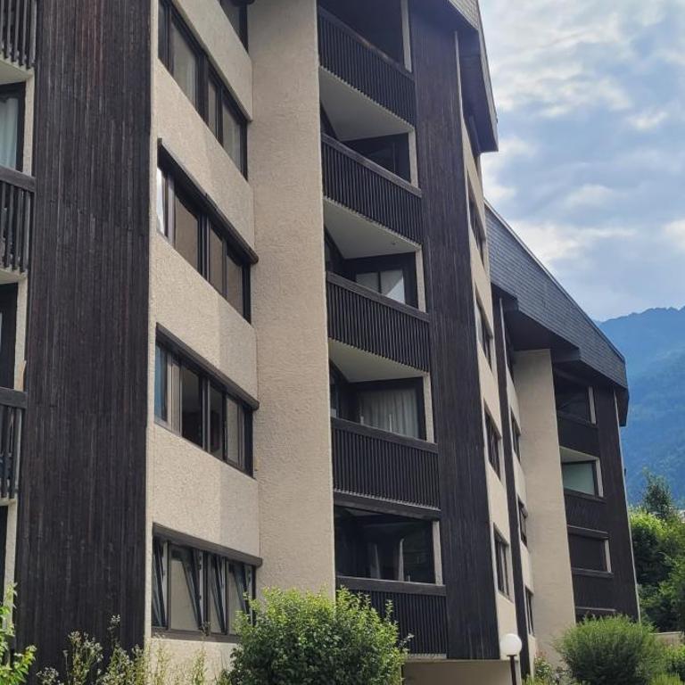 Grand studio près Lac Gaillands - Apartment mit 1 Schlafzimmer - 2