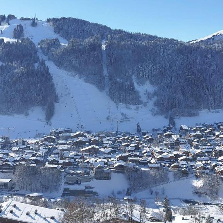 Morzine T2 vue imprenable - Apartamento de 1 dormitorio - 9