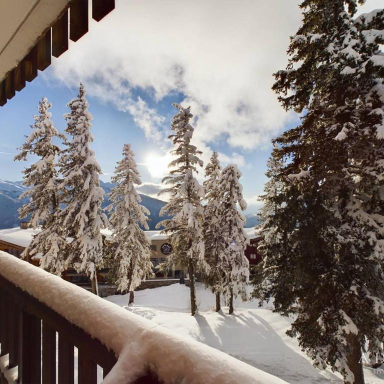 Studio rénové 2* pour 4 pers., skis aux pieds, balcon exposé sud-ouest, proche commerces et garderie - FR-1-398-528 - Appartement - 9