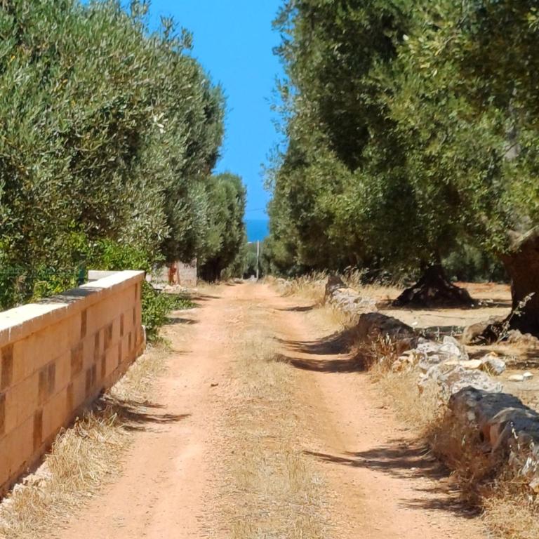 Trullo & Lamia Meraki - Casa con 2 Camere da Letto - 30