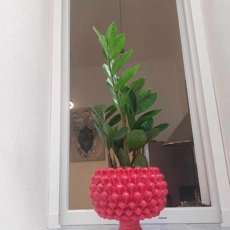 Quiet House Palermo - Appartamento con 2 Camere da Letto - 16