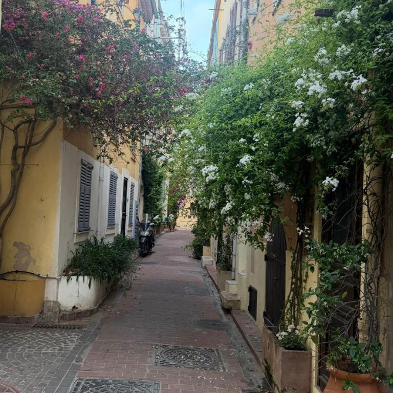 Charming 3-Room Old Antibes - Appartamento - 11
