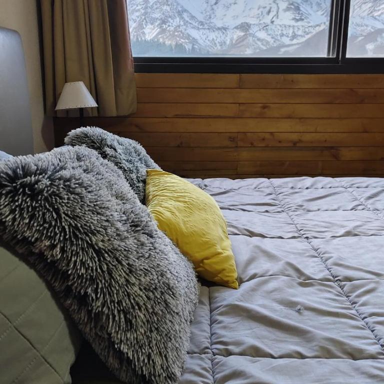 Cómodo depto las leñas - Apartamento de 2 dormitorios - 20