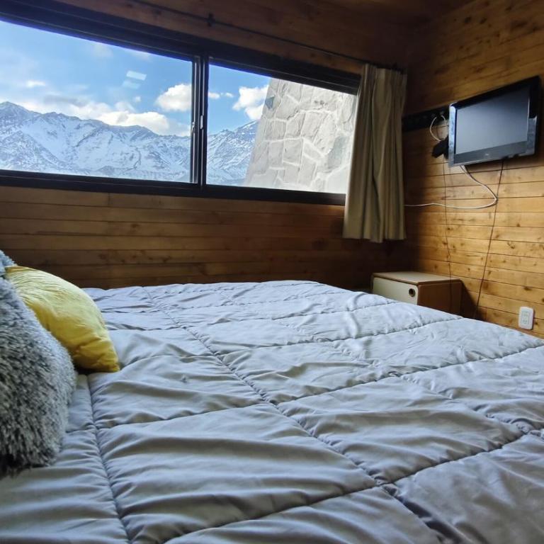 Cómodo depto las leñas - Apartamento de 2 dormitorios - 21