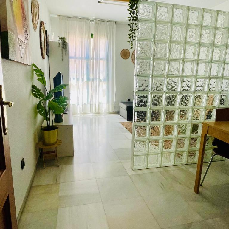 GreenHouse, casco Histórico de Málaga - Apartamento de 2 dormitorios - 4
