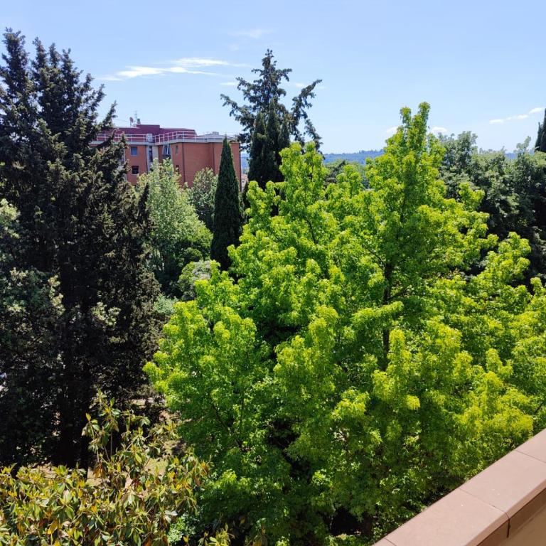 Panoramico - Appartamento Deluxe con 3 Camere da Letto - 4