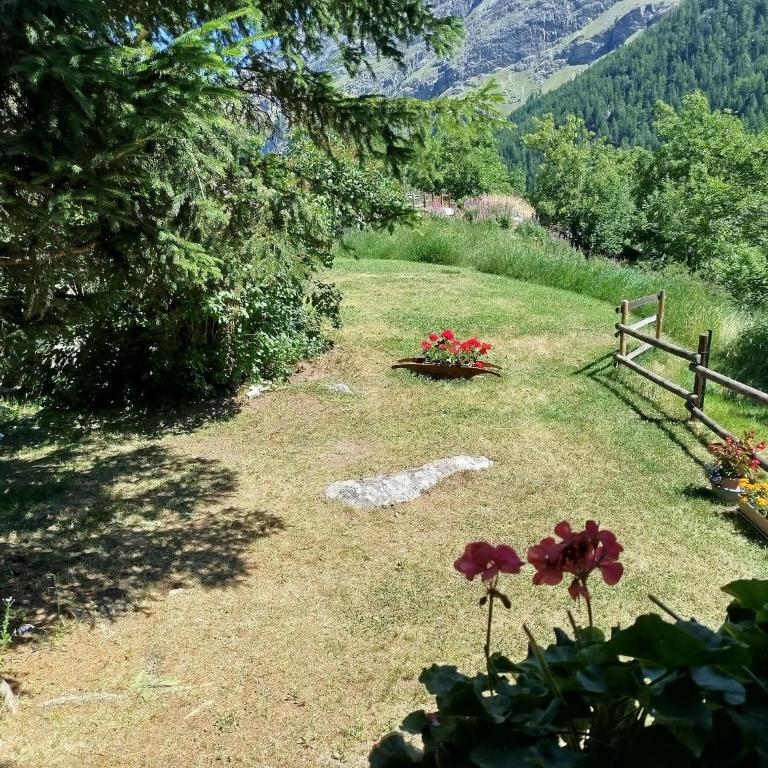 La Baita di Savara - DimoraAlpina - Casa Vacanze - 41