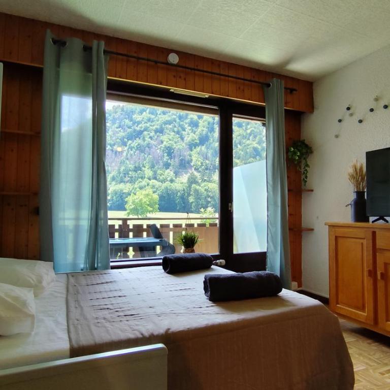 Sullenza # Parking - Proche Centre - Vue Montagne - Appartement 1 Chambre - 5