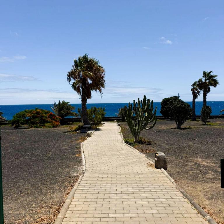 Blue Ocean View - Apartamento de 1 dormitorio - 23
