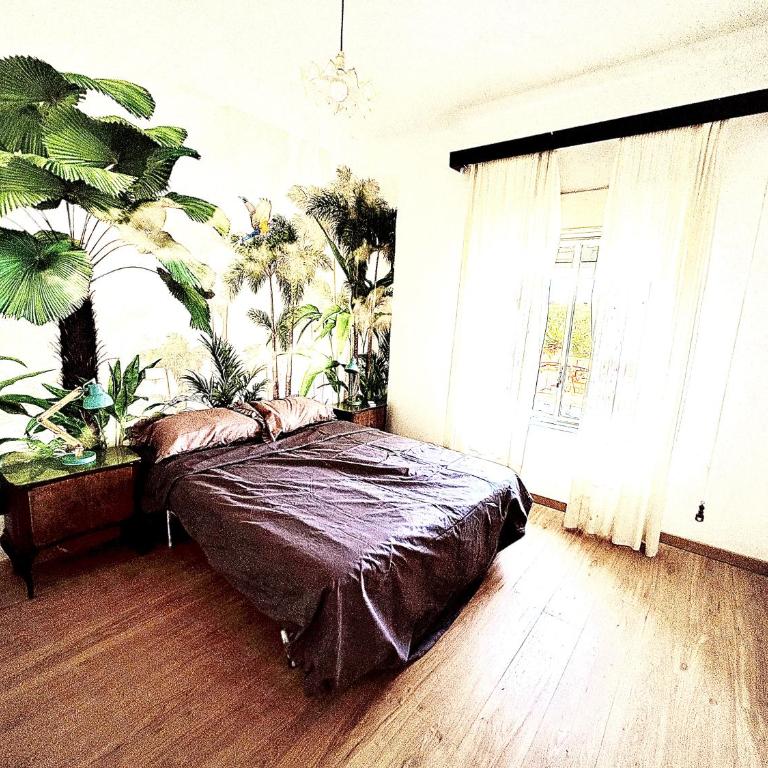 a SCIUMARA - Appartamento con 2 Camere da Letto e Vista Giardino - 4