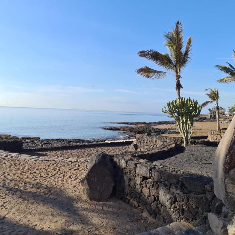 Blue Ocean View - Apartamento de 1 dormitorio - 30