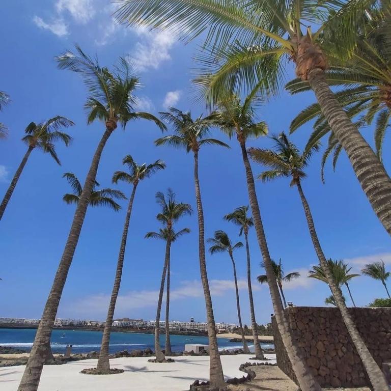 Blue Ocean View - Apartamento de 1 dormitorio - 32