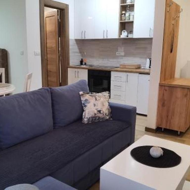Apartmani Vojvodić Divčibare - Apartman sa 1 Spavaćom Sobom - 17