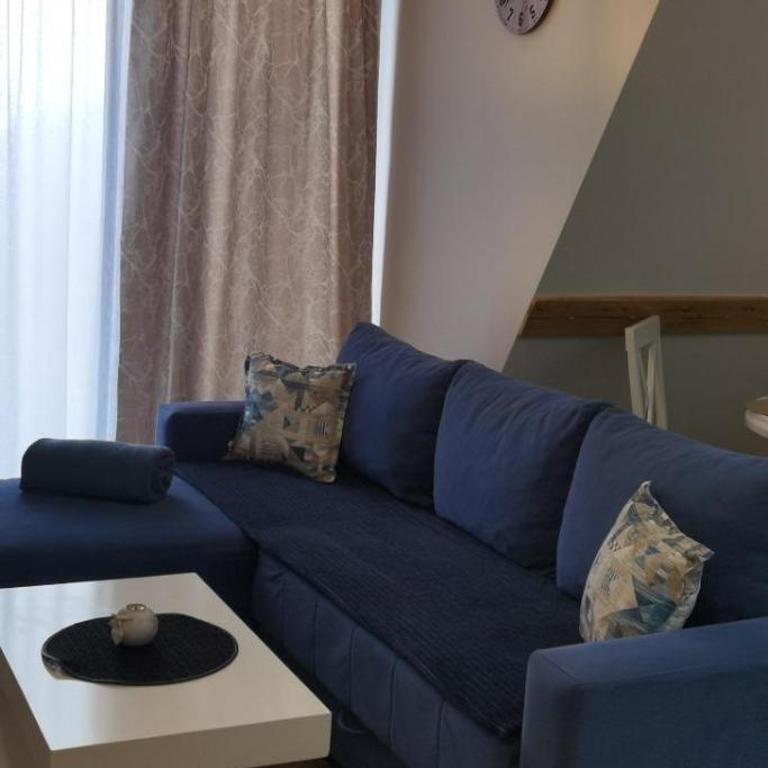 Apartmani Vojvodić Divčibare - Apartman sa 1 Spavaćom Sobom - 15