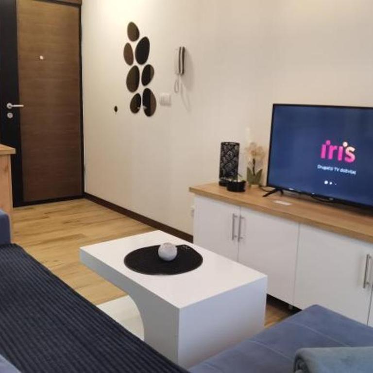 Apartmani Vojvodić Divčibare - Apartman sa 1 Spavaćom Sobom - 12