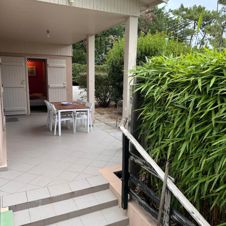 Petite maison cap ferret phare - Maison 2 Chambres - 1