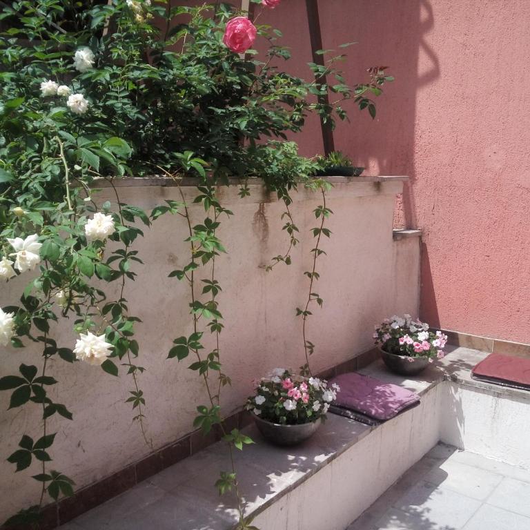 ZeMoon Apartment - Apartman sa 2 Spavaće Sobe - 18