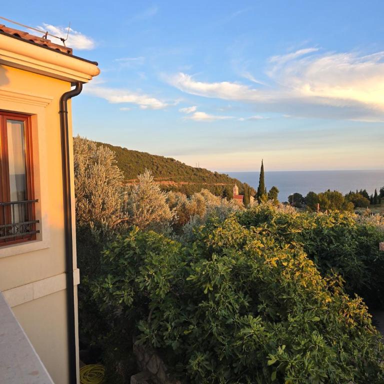 Vista Blue Villa - Vila sa 2 Spavaće Sobe - 19