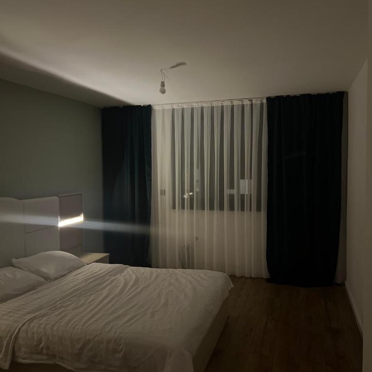 Airport Apartman free parking - Apartman sa 1 Spavaćom Sobom - 1