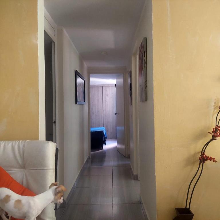 Apartamento céntrico en el poblado - Three-Bedroom Apartment - 8
