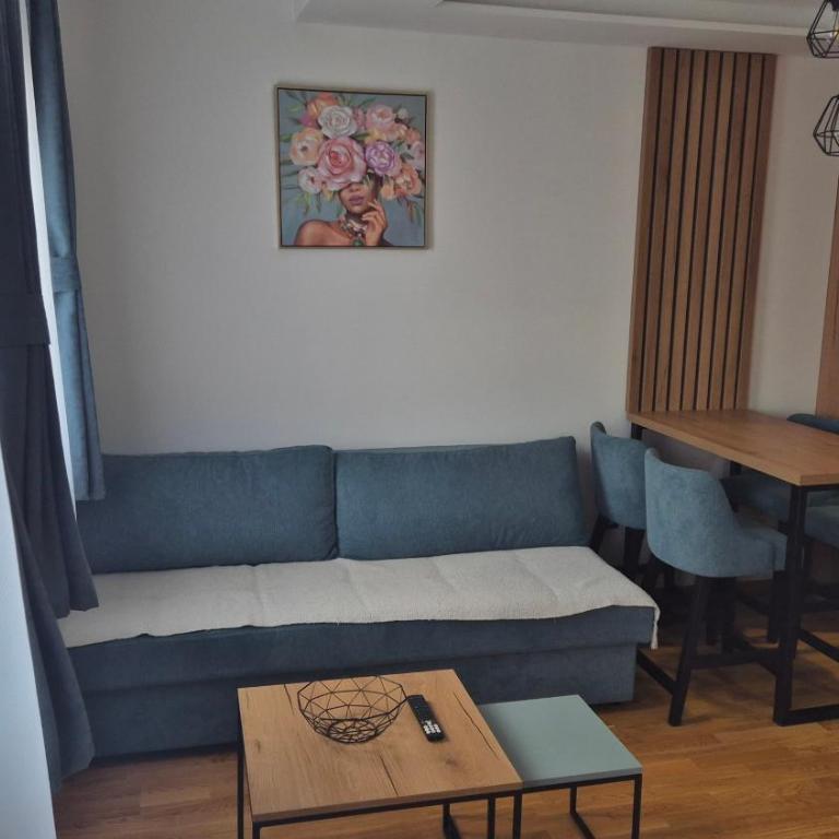 Srebrna pahulja - One-Bedroom Apartment - 5