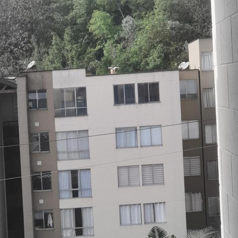Apartamento céntrico en el poblado - Three-Bedroom Apartment - 3